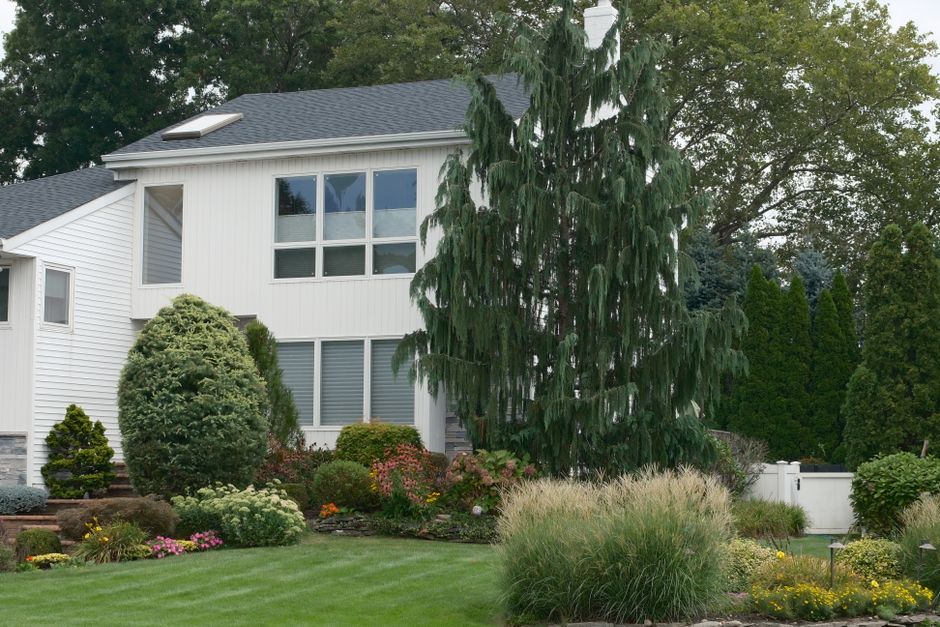Landscaping in Fresno, CA | Longhorn Landscapes — Longhorn Landscapes, Fresno & Clovis, CA