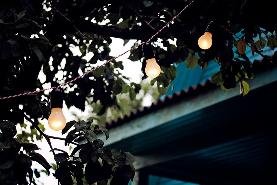Landscape LED lighting illuminating trees and roofline at night in Fresno, CA