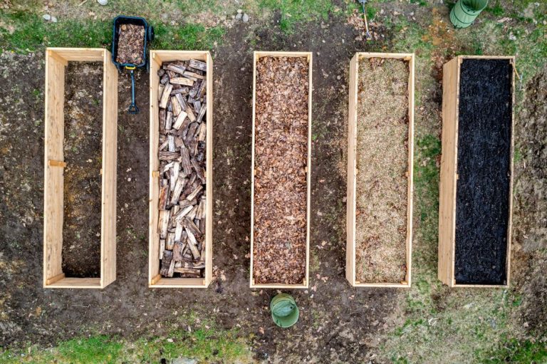 Top view of wooden raised garden beds filled with different soil mixes and wood chips for Central Valley gardening