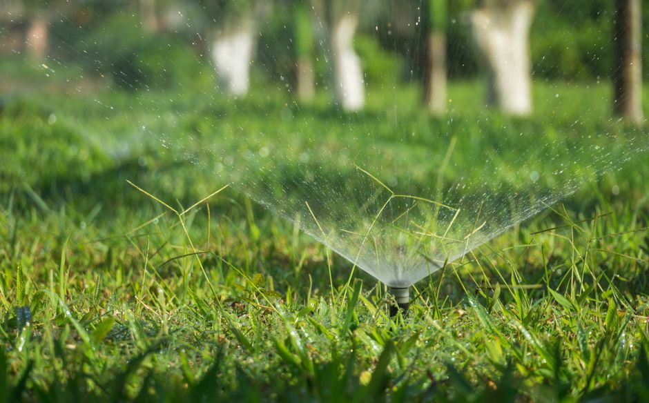 Sprinkler head watering a lush green lawn in Clovis CA — sprinkler repair and irrigation services by Longhorn Landscapes