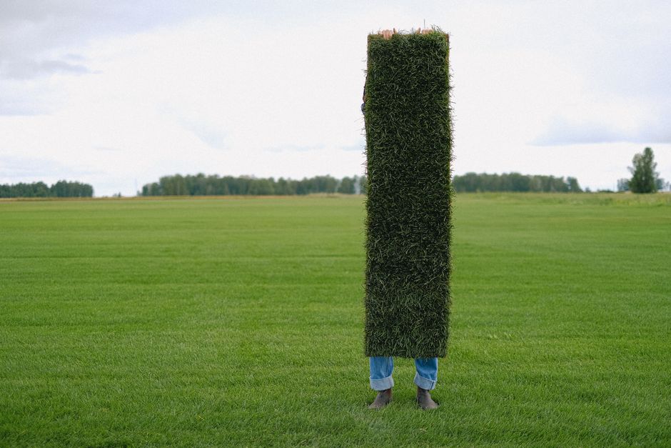 Landscaper holding a rolled sod piece on a green lawn during sod installation in Fresno, CA